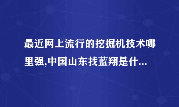 最近网上流行的挖掘机技术哪里强,中国山东找蓝翔是什么意思?