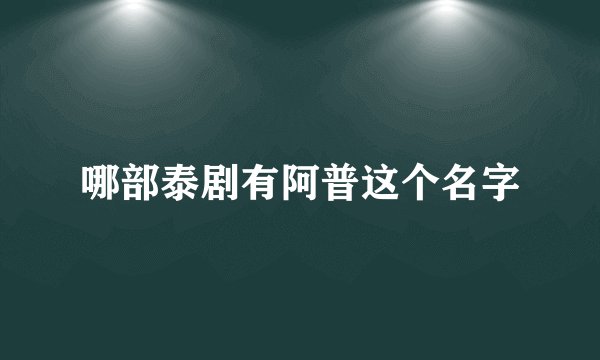 哪部泰剧有阿普这个名字
