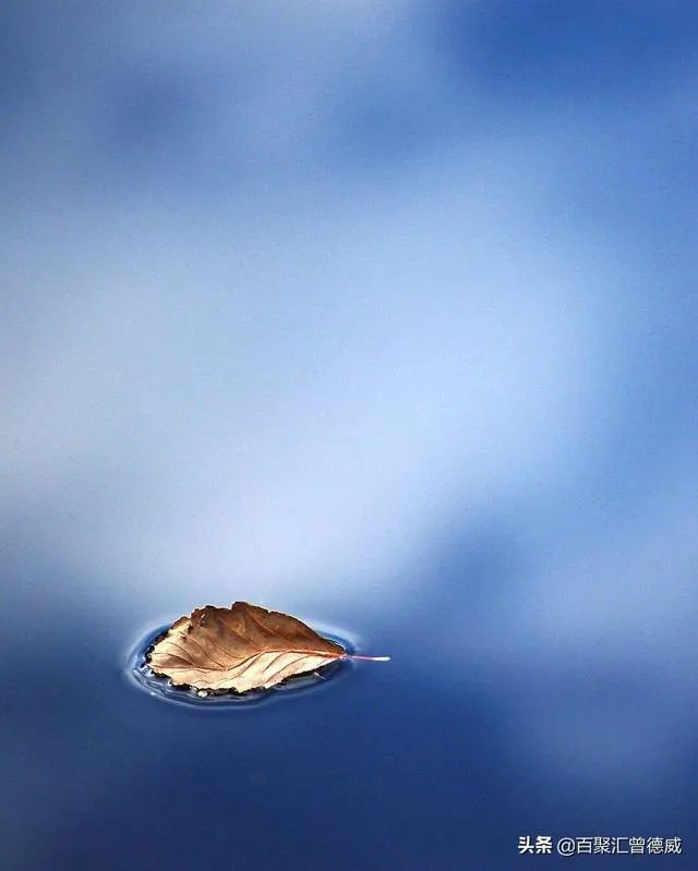 任正非称华为6G领先世界6G十年后使用,你们是什么看的呢?