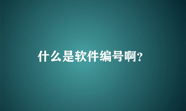 什么是软件编号啊？