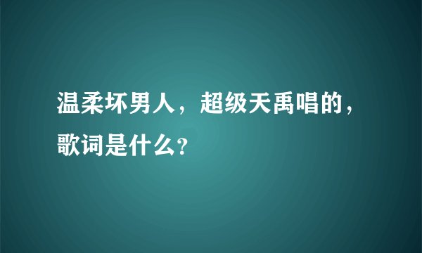 温柔坏男人，超级天禹唱的，歌词是什么？