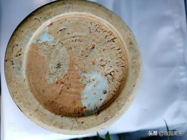 如何鉴定明嘉靖篮釉瓷?