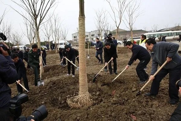 植树节的意义20字