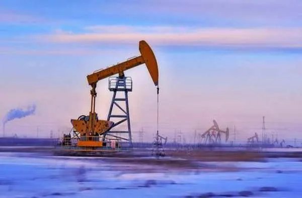 全球巨无霸公司破产,导致瓦拉里斯公司破产的原因是什么?