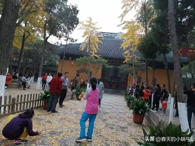 旅游是夫妻二人玩的舒服？还是多个朋友一起旅游更加有趣？