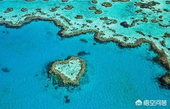 为何有些人喜欢去澳洲旅游？