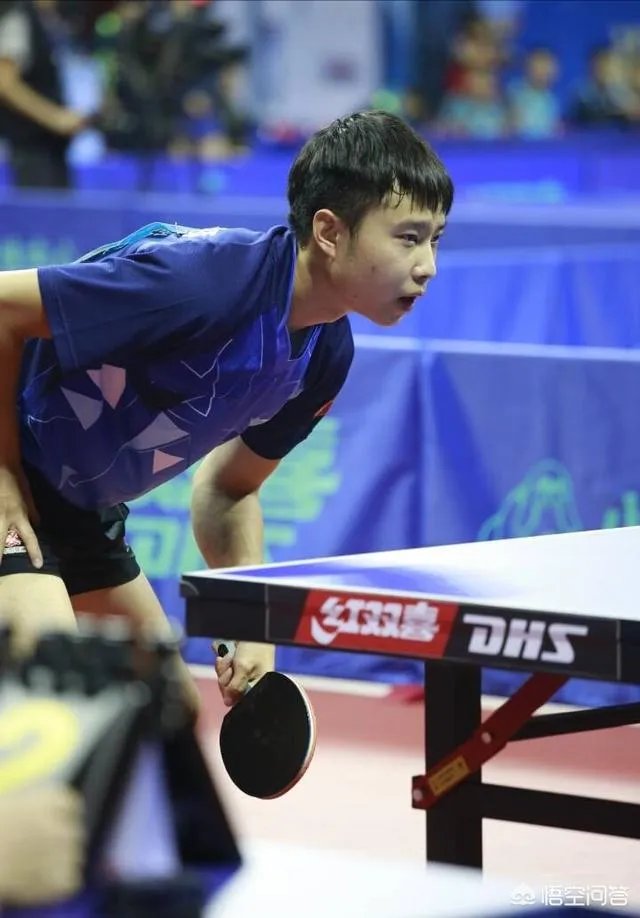 匈牙利公开赛资格赛首日的比赛，国乒选手战绩如何？如何评价？