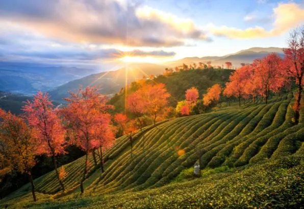 冬天国内游适合去哪玩 冬天旅游景点推荐国内最佳去处