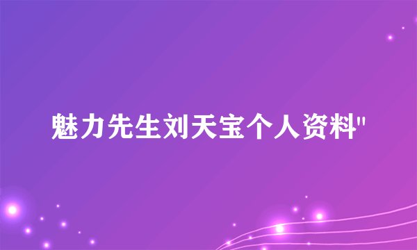 魅力先生刘天宝个人资料