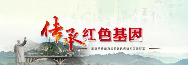 有什么推荐的红色文化教育培训机构吗?