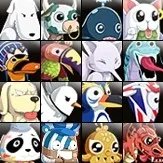 《热血海贼王》宠物介绍 宠物获得方式大点盘