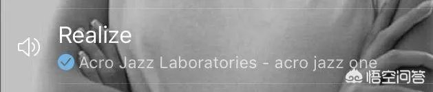 哪些歌好听却不红?