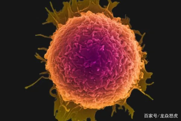 姚贝娜乳腺癌早期为什么只活了三年？