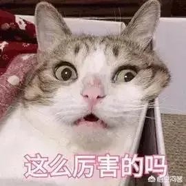 范冰冰李晨分手了，对此你怎么看？