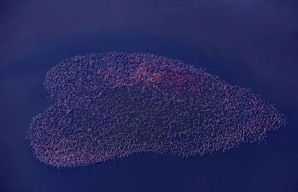 有没有人跟我一样觉得江一燕很漂亮的？