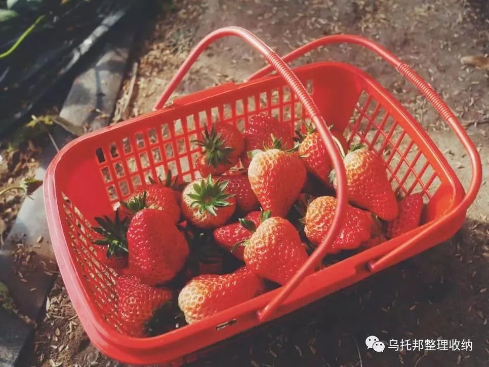 『原创』自己摘,自己动手做美味果汁!有独家秘方!