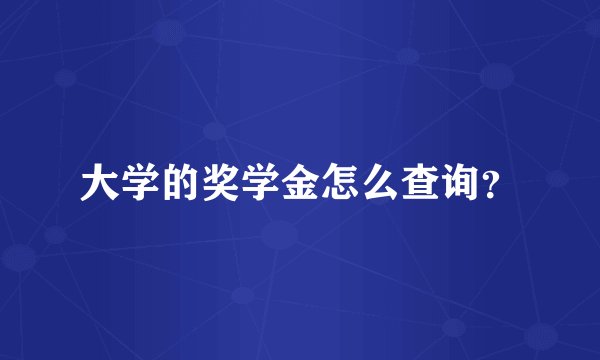 大学的奖学金怎么查询？