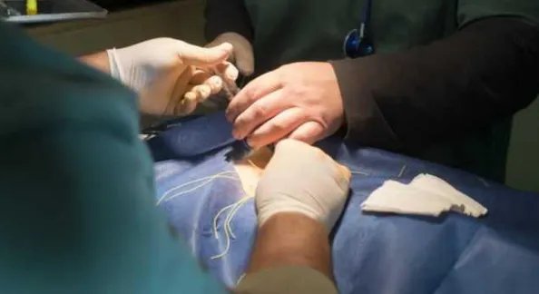 等五小时医生身亡,这样的医生应该受怎样的处罚?