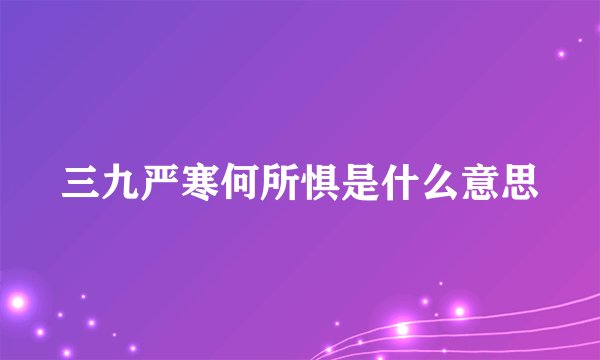 三九严寒何所惧是什么意思