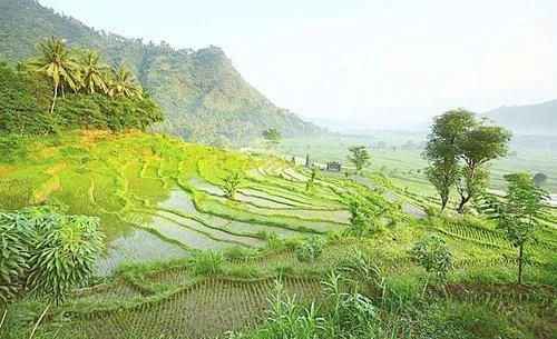 在云南拍婚纱照要多少钱 云南4个适合拍婚纱的地方