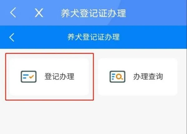 广州养狗需要什么