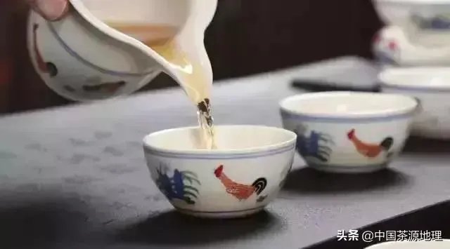 茶杯分类?