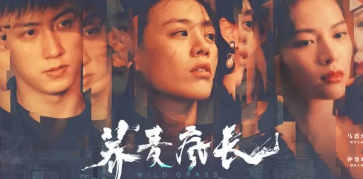 《荞麦疯长》讲的是什么故事?