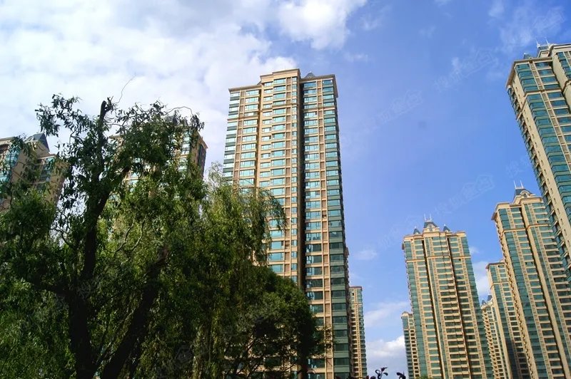 沈阳房子限购吗