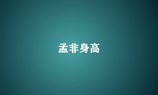 孟非身高