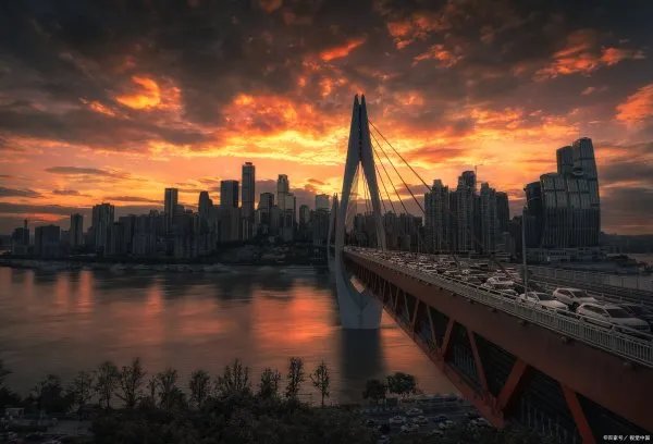 电视剧人世间主演是谁