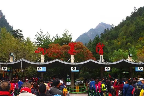 绵阳通报4天参团游未见九寨沟大门,涉事酒店最终得到了什么处罚?