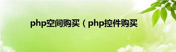 php空间购买（php控件购买