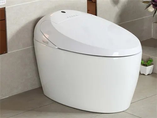 全自动马桶的优缺点 如何操作全自动马桶