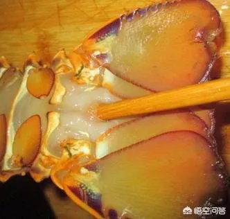清蒸澳洲龙虾的做法?