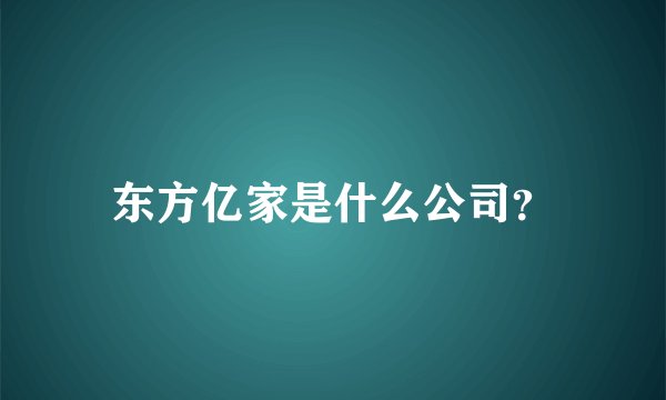 东方亿家是什么公司？