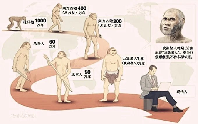 “物竞天择．适者生存”是什么意思