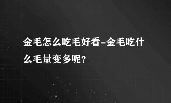 金毛怎么吃毛好看-金毛吃什么毛量变多呢？