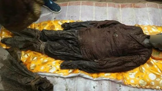 500年前古墓挖出是怎么回事？