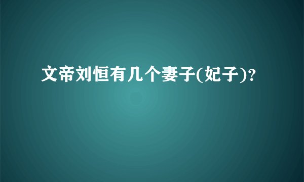 文帝刘恒有几个妻子(妃子)？