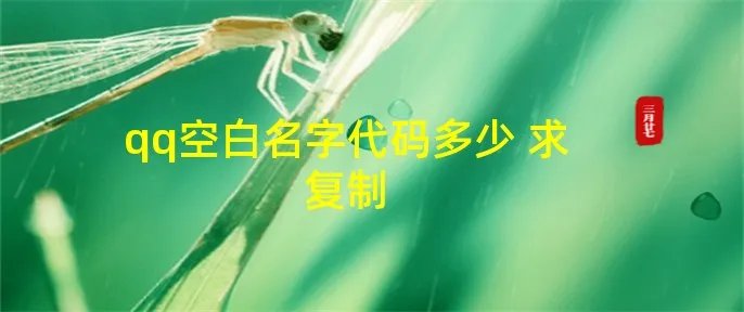 qq空白名字代码多少 求复制