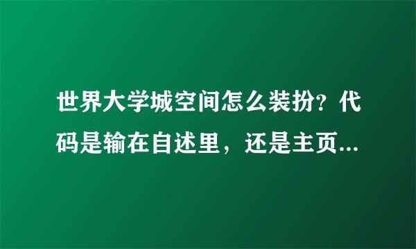 世界大学城空间怎么装扮？代码是输在自述里，还是主页板块设置自定义模块里？