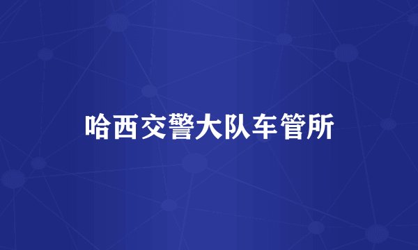 哈西交警大队车管所