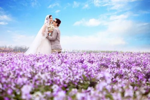 北京花海婚纱照哪里拍好 拍摄时应注意什么事项