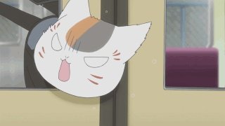 你家的猫做过哪些不可思议的事呢?