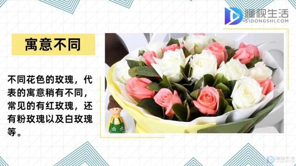 20朵玫瑰代表什么花语