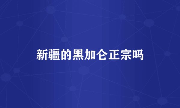 新疆的黑加仑正宗吗