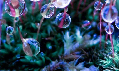 写清明节的优秀作文精选5篇