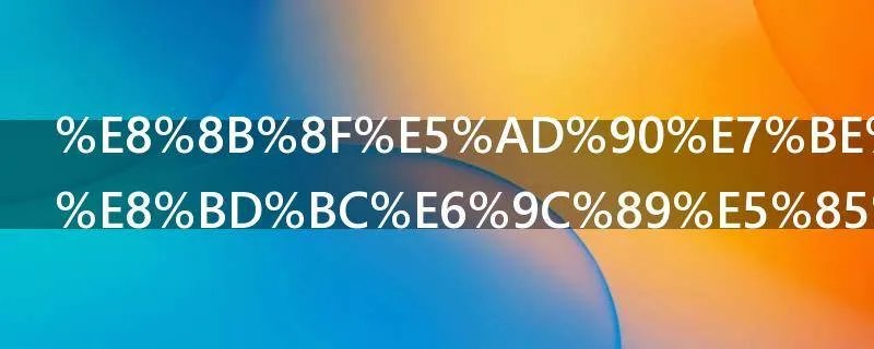 苏子美和苏轼有关系吗