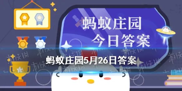 蚂蚁庄园经常吃汤泡饭 蚂蚁庄园今日答案5.26最新