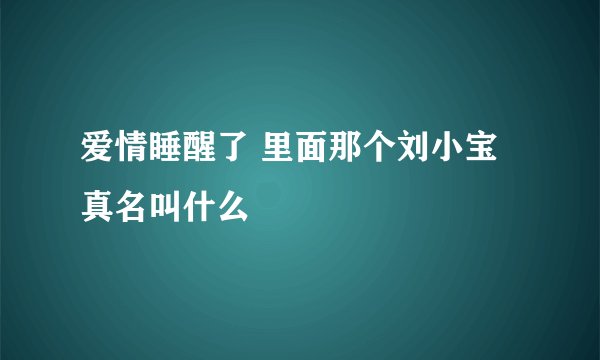 爱情睡醒了 里面那个刘小宝真名叫什么